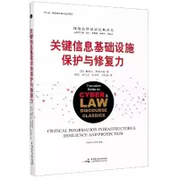 音像关键信息基础设施保护与修复力/网络法律话语经典译丛