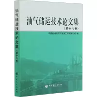 音像油气储运技术集(6卷)中国石油天然气管道工程有限公司编