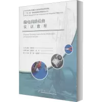音像输电线路检修实训教程汤晓青,杜兵 编