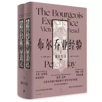 音像布尔乔亚经验(1感官生活上下)(精)(美)彼得·盖伊著