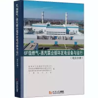 音像6F级燃气-蒸汽联合循环发电设备与运行(电仪分册)吴文君