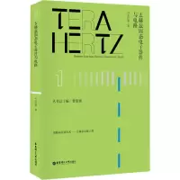音像太赫兹固态器件与电路冯志红 等