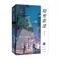 音像暗里着迷南北逐风