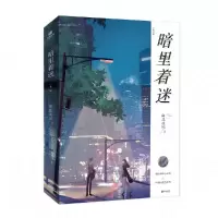 音像暗里着迷南北逐风
