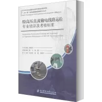 音像特高压直流输电线路运检专业培训及考核标准陈立