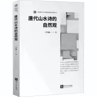 音像唐代山水诗的自然观丁红丽