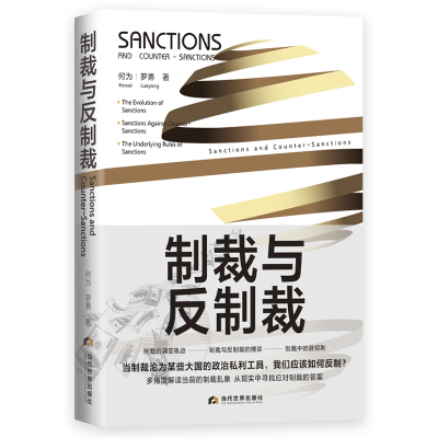音像制裁与反制裁何为,罗勇