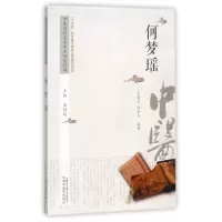 音像何梦瑶/中医历代名家学术研究丛书潘桂娟