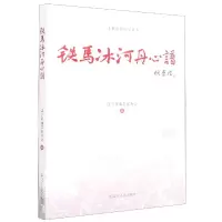 音像铁马冰河丹心谱张丹编