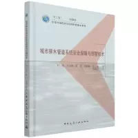 音像城市排水管道系统安全保障与预警技术何强 等