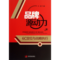音像品牌源动力(6C定位与战略执行)湛广