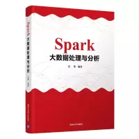 音像Spark大数据处理与分析雷擎