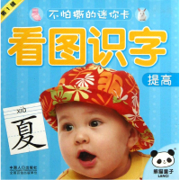 音像看图识字(提高)/不怕撕的迷你卡梁子 编绘