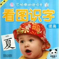 音像看图识字(提高)/不怕撕的迷你卡梁子 编绘