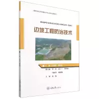 音像边坡工程防治技术王明秋著;王明秋编;蒋洪亮编