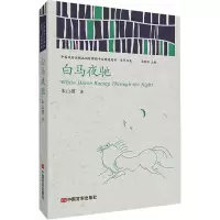 音像白马夜驰朱山坡
