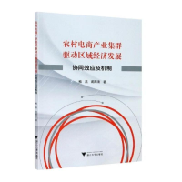 音像农村电商产业集群驱动区域经济发展:协同效应及机制梅 燕