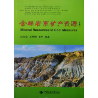音像含煤岩系矿产资源焦养泉