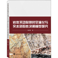 音像岩体采动裂隙时空演化与突水危险决策模型研究杨滨滨