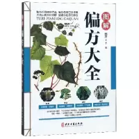 音像图解偏方大全李敏