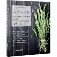 音像爱上迷迭香李珊珊著