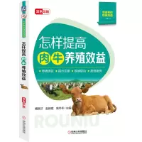 音像怎样提高肉牛养殖效益魏刚才赵新建高冬冬 主编
