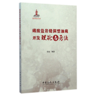 音像碳酸盐岩缝洞型油藏开发理论与方法李阳
