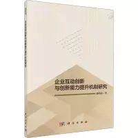 音像企业互动创新与创新能力提升机制研究盛伟忠
