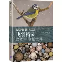 音像飞羽精灵(鸟类的隐秘世界)[英]彼得·霍尔顿著曾晨 译
