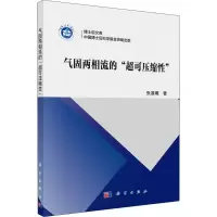 音像气固两相流的