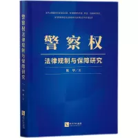 音像权法律规制与保障研究陈华 著