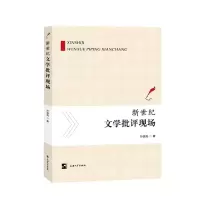 音像新世纪文学批评现场孙国亮 著