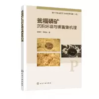 音像瓮福磷矿沉积环境与碘富集机理任海利,杨瑞东