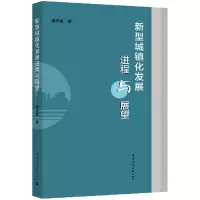音像新型城镇化发展进程与展望谢天成