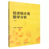 音像经济统类学分析(上)王伟刚、王海敏
