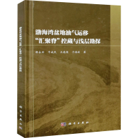 音像渤海湾盆地油气运移