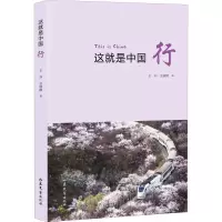 音像这就是中国 行王非,金淑霞