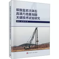 音像碳酸盐岩大块石高填方地基加固关键技术试验研究沈志平 等