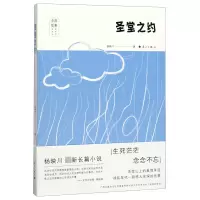 音像圣堂之约/中国故事原创文学丛书杨映川