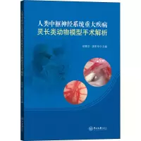 音像人类中枢神经系统重大疾病灵长类动物模型手术解析初晨宇