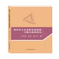 音像现代中小企业的发展战略与模式选择研究刘佳丽,段炜,梁宁宁