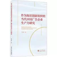 音像作为知识创新组织的当代中国广告企业生产力研究万木春