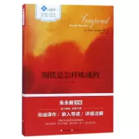 音像钢铁是怎样炼成的(嵌式阅读)(苏)尼古拉?奥斯特洛夫斯基
