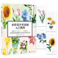 音像《水彩花卉零基础入门教程》搜猎人绘本工作室
