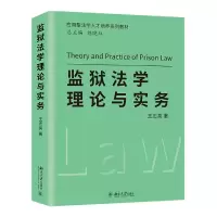 音像监狱学理与实务王志亮