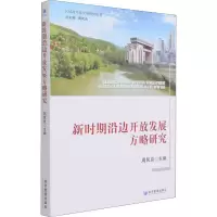 音像新时期沿边开放发展方略研究周民良 编
