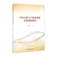 音像中国天然气产业市场化法律规范研究闫艳