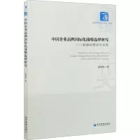 音像中企业牌国际化战略选择研究——新疆的理论与实践崔登峰
