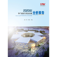 音像2020年量产乘用车特征参数分析报告徐佐 王孝东 主编