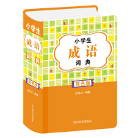 音像小学生成语词典(双色版)中国